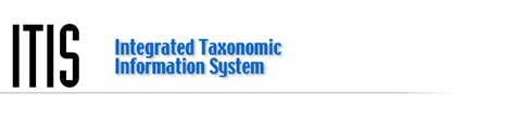 itis gov|itis integrated taxonomic information system.